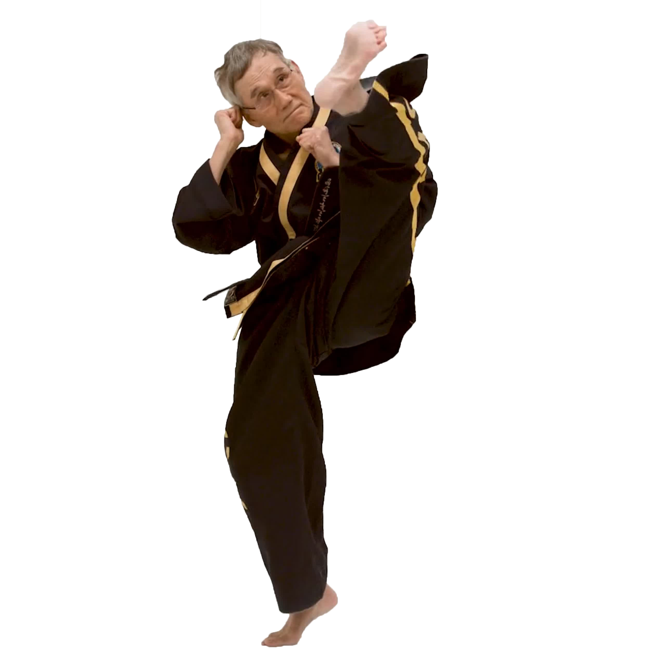 gmchoi-twisting-kick.png